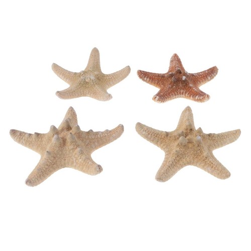 Pcs accessori spiaggia - , mare