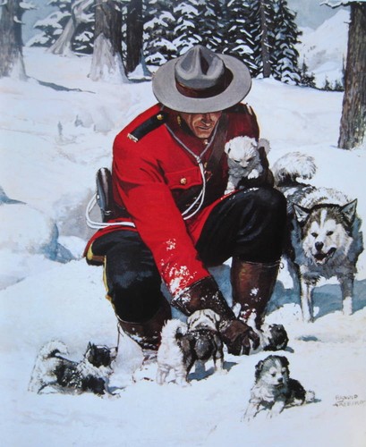 Canadian mountie rcmp con cane - mountie,
