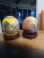 Coppia Uova di Struzzo