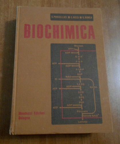 Porcellati ricci ronca - -,