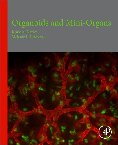 Organoids and mini - organoids, mini-organs