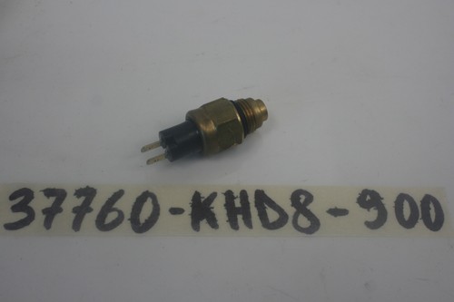 Bulbo termostato radiatore
