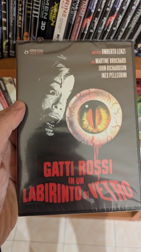 Gatti rossi labirinto di - gatti,