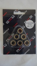 RMS Roller Weights Kit