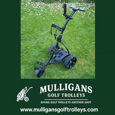 CARRELLO GOLF ELETTRICO USATO