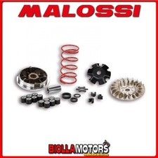 5113161 VARIATORE MALOSSI
