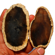 2 pezzi agata naturale non