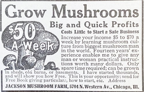 Grow mushrooms jackson - grow,
