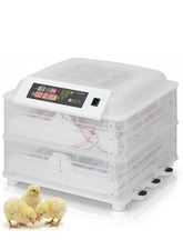 112 eggs 120w digital - eggs,