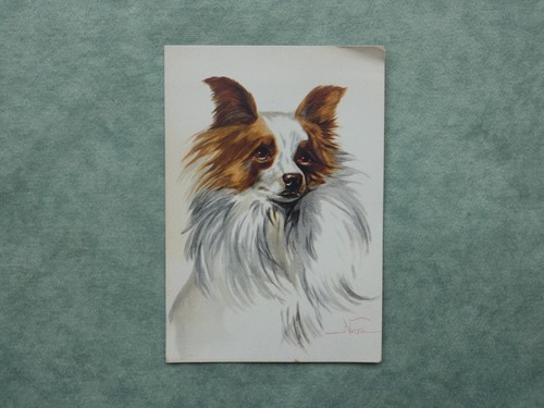 Cartolina cane farfalla - cane,