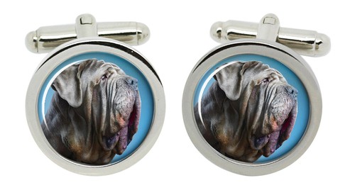 Mastino napoletano napoletana - napoletano, (napoletana