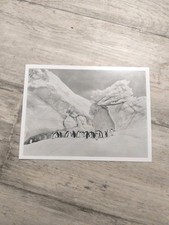 SEBASTIAO SALGADO, cartolina/cartolina originale firmata 15x20 cm