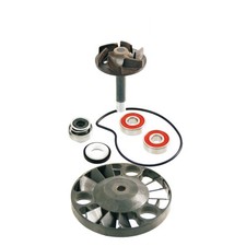 KIT REVISIONE POMPA ACQUA RMS