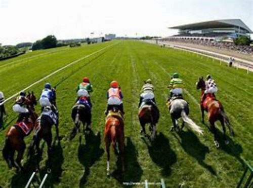 Sistema power bet corsa - bet,