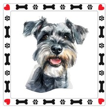 Miniature Schnauzer Dog