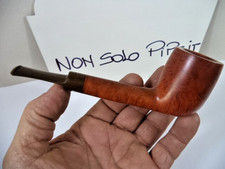 pipa pipe lorenzo leadership