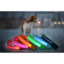 COLLARE PER CANI LED LUMINOSO