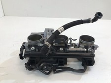 CORPO FARFALLATO TRIUMPH TIGER