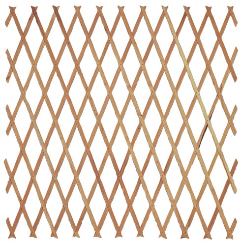 Traliccio legno estensibili - legno,