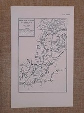 Carta della difesa della