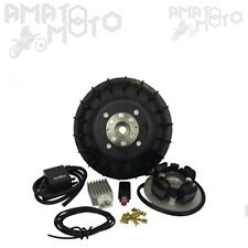 25356850 PINASCO ACCENSIONE ANTICIPO VARIABILE FLYTECH PER VESPA 125 T5