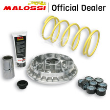 MALOSSI VARIATORE COMPLETO