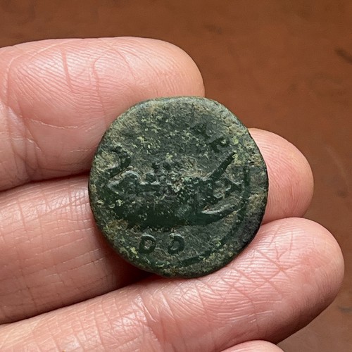 Apamea bitinia gordiano - apamea,,