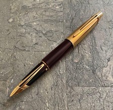 WATERMAN penna stilografica