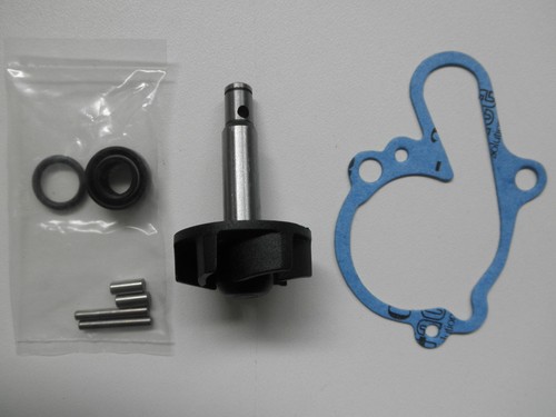 100110080 kit revisione pompa - 100110080,