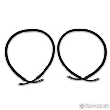 Purist Audio Design Neptune