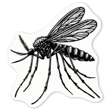 Adesivi decalcomania 'Riposo