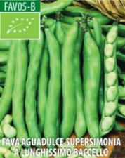 semi FAVA aguadulce supersimonia a lunghissimo baccello BIO 5 KG