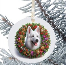 Pastore Svizzero Cane da