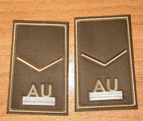 Allievo accademia militare - accademia,