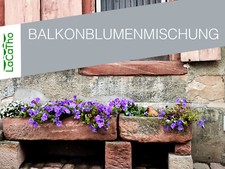 Balcone fiori mix piante