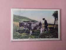 CARTOLINA SARDEGNA COSTUMI