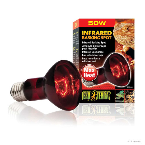 Exo terra lampada infrarossi - terra,