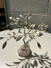 Olivo Argento su pietra