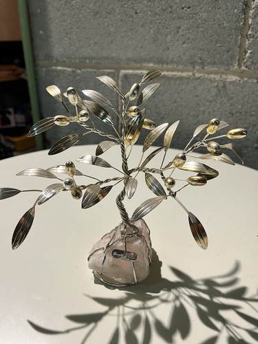 Olivo argento pietra - olivo, su