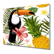 Piano Cottura Vetro Induzione