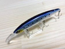 DAIWA Shore Line Shiner Z SET