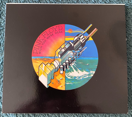 Pink floyd wish you - )-,