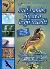 NEL MONDO ELUSIVO DEGLI