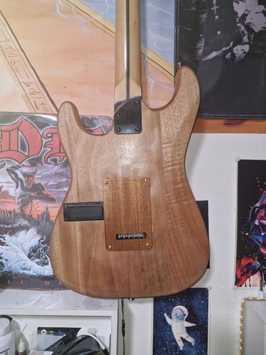 Chitarra elettrica usata - chitarra,