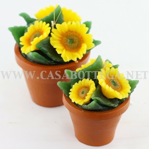 Candela girasole vaso - girasole, in