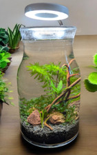 Ecosistema ecosfera - ecosistema,