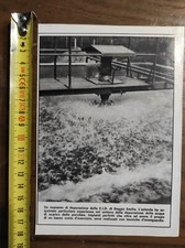 CID Reggio Emilia depurazione acqua 1971 fotografia vintage da rivista d'epoca