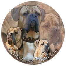 CANE CORSO adesivo auto