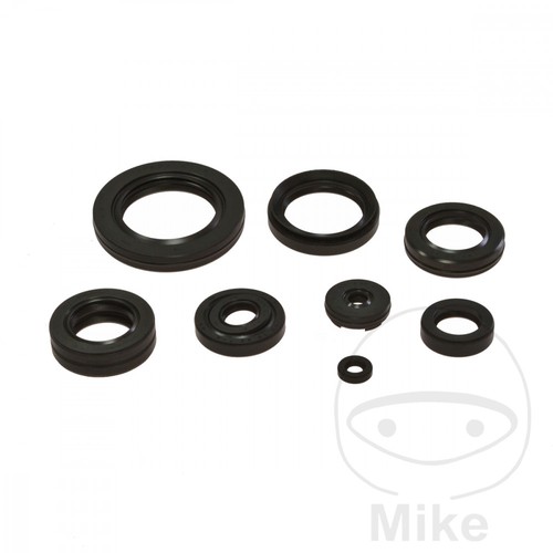 Tourmax kit retenes motor - tourmax, de
