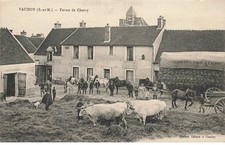 77 VAUDOY #MK45403 Fattoria Di